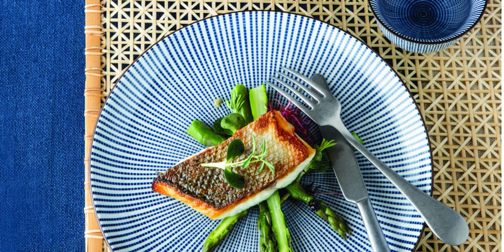 Tokyo Design Studio Serie Sendan Tokusa