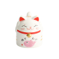 Preview: Blue Kawaii Lucky Cat Mug Giftset at Tokyo Design Studio (picture 4 of 4)